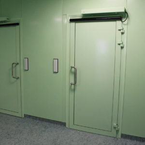 Противопожарная дверь для помещений / серия FRM33321